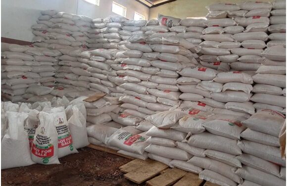 Bags of maize distributed to farmers as palliative inAkure yesterday