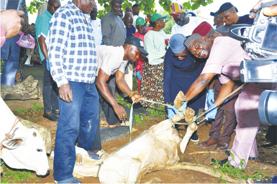 Aiyedatiwa launches statewide livestock vaccination drive