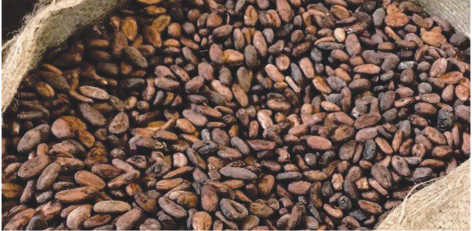 Man in court over alleged N5m cocoa theft