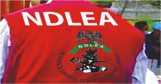 NDLEA, Army pledge support for Ondo police in fresh security push